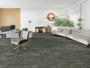 Ascend 18 20 Ashlar